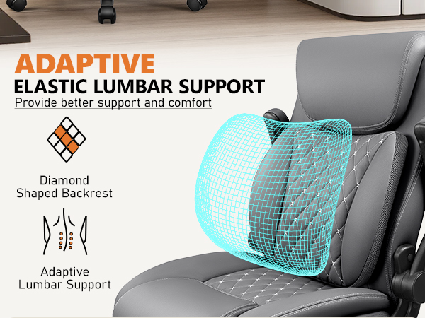 ergonomic office chair lumbar support