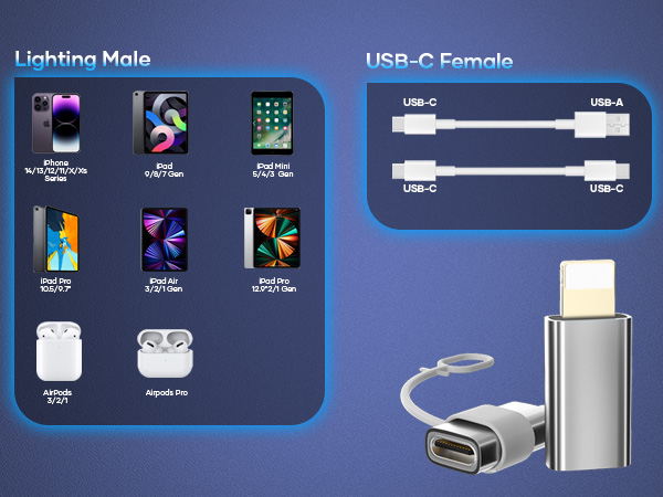  USB C to Lightning Adapter