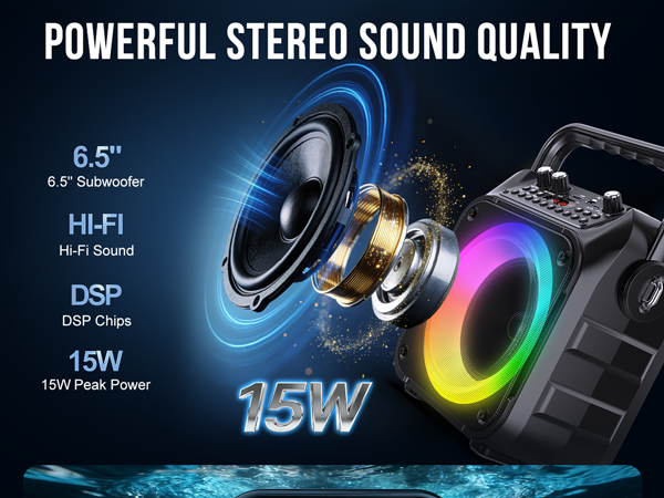 Karaoke Machine Mini Karaoke Machine Portable Bluetooth Speaker Karaoke Machine for Adults 2 Mics