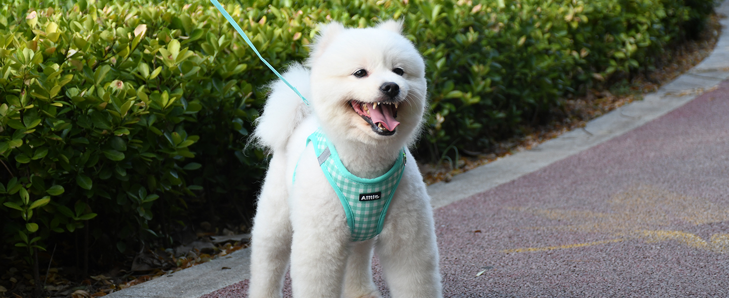AIITLE Step-in Dog Vest Harness and Leash Set - Summer Mesh Plaid Vest Harness