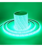 EverBright Green Led Strip Lights,16.4ft / 5M 600 SMD Waterproof IP68 Flexible Decoration for Car...
