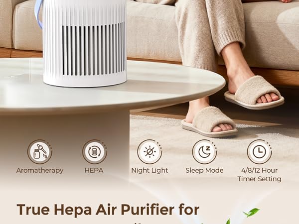 air purifiers for home