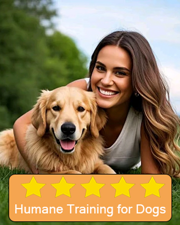 anti barking device for dogs