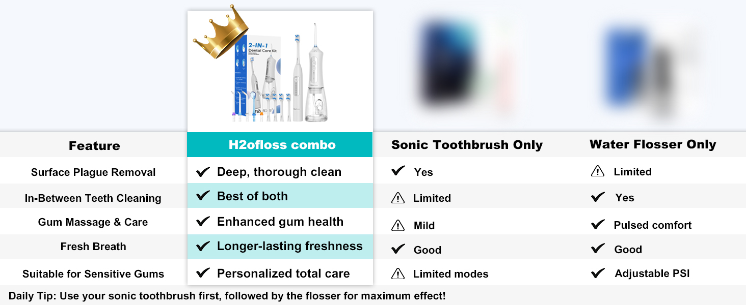 2 in 1 electric toothbrush