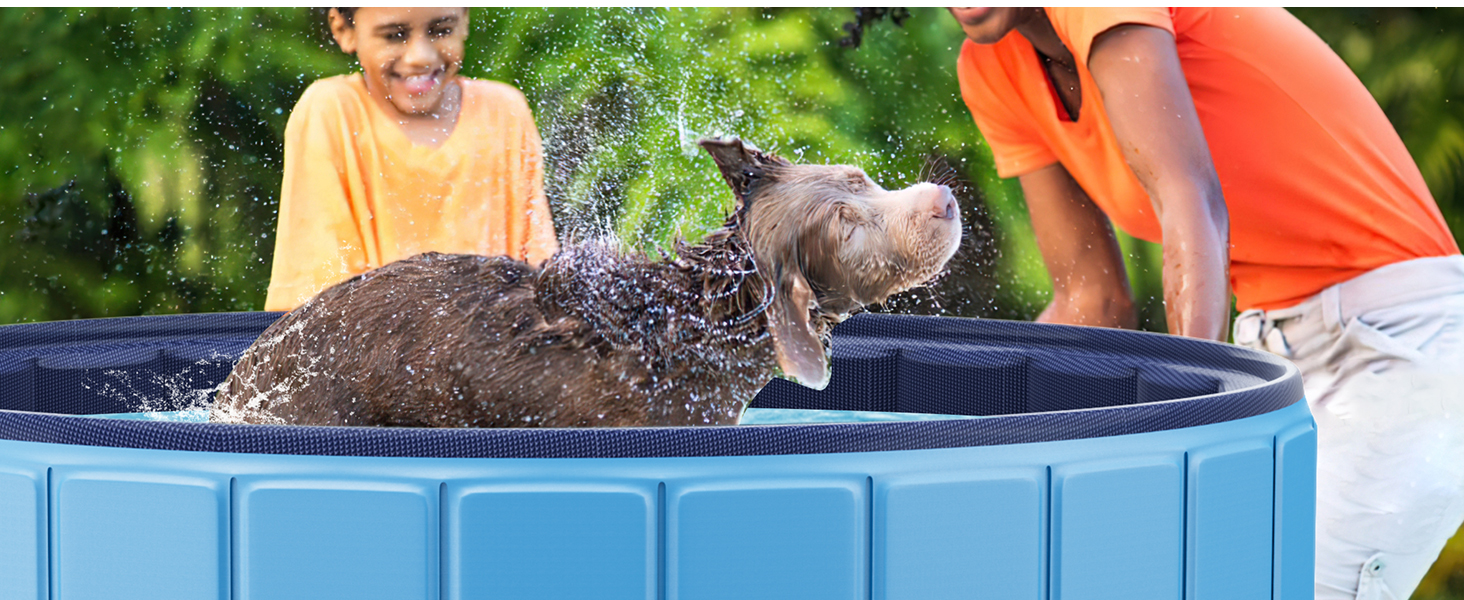 dog pool