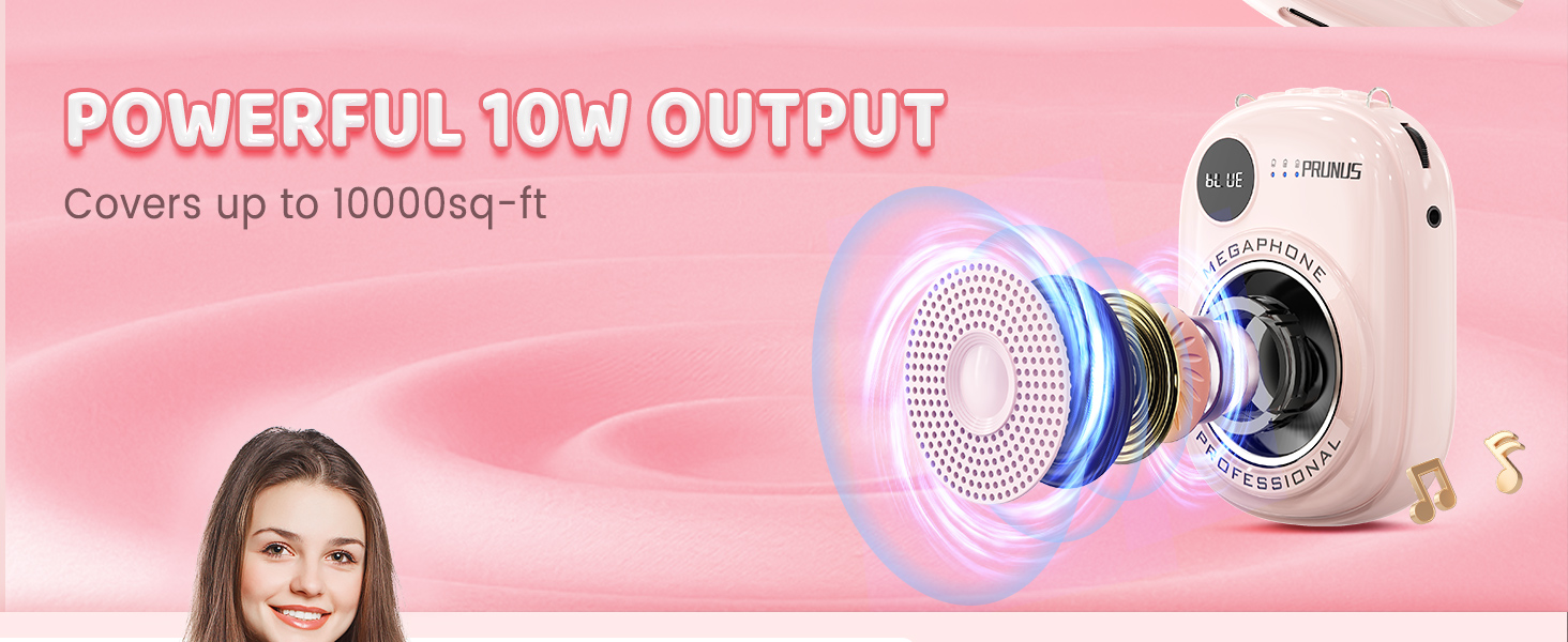 rechargeable voice amplifier