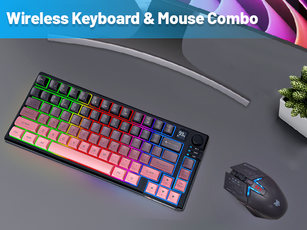 Wireless Keyboard & Mouse Combo