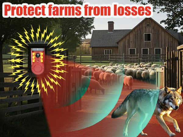 outdoor motion sensor