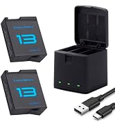 2-Pack 2100mAh Batteries with 3-Channel Battery Charger Station Compatible with Hero 13 Black Spo...