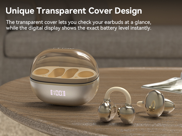 transparent cover