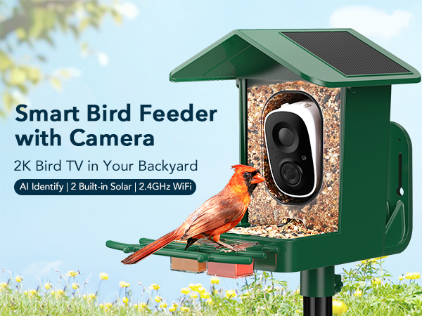smart bird feeder with camera