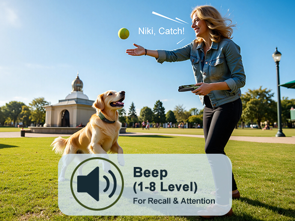 dog shock collar for large dogs