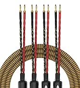 Tertullus HiFi OFC Audiophile Speaker Cable with 8 Banana Plugs Nylon Braid Gold Plated Banana Pl...
