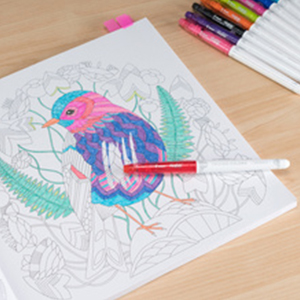 Pilot - FriXion Colors Michael’s Coloring