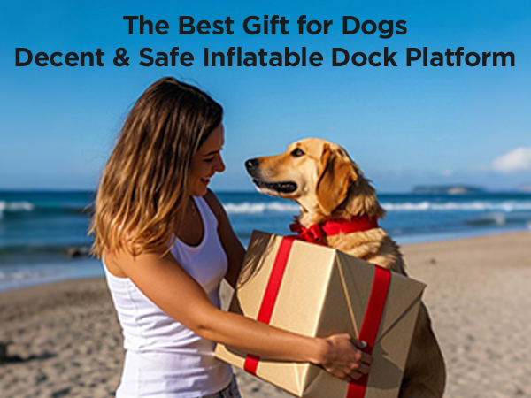 Dog Boat pool Ramp