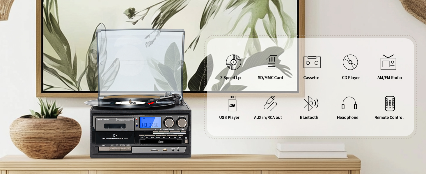 9 in 1 Record Player