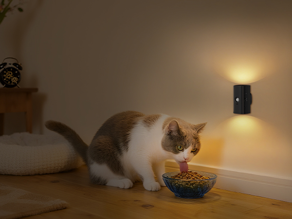 eye-friendly night light for pet