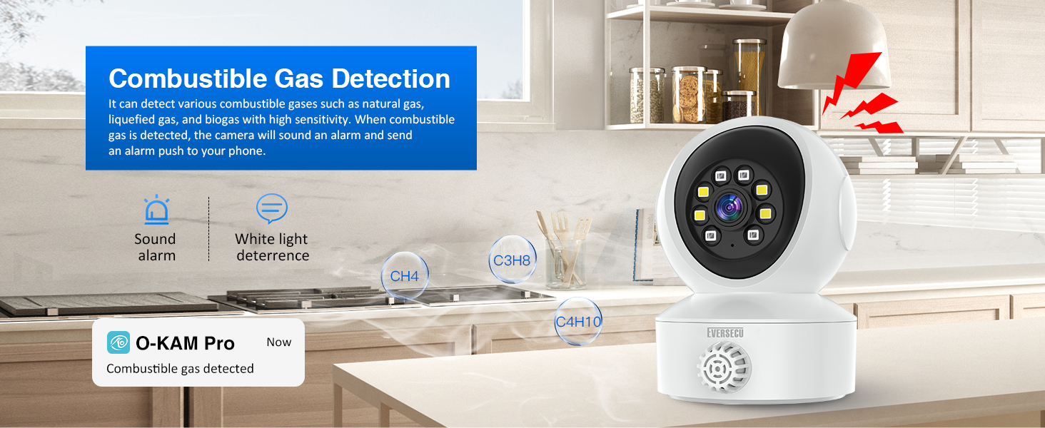 EVERSECU Smoke &amp; Gas Detection Home Security Camera with Sound Alarm 