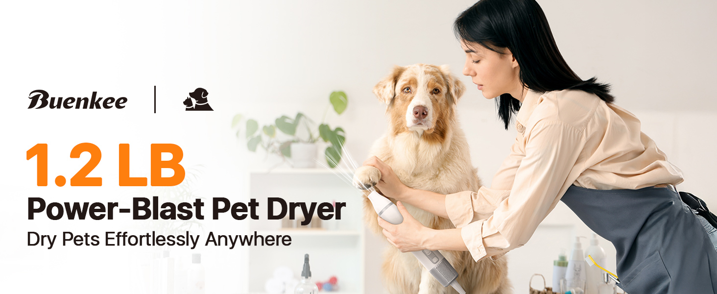 dog pet dryer