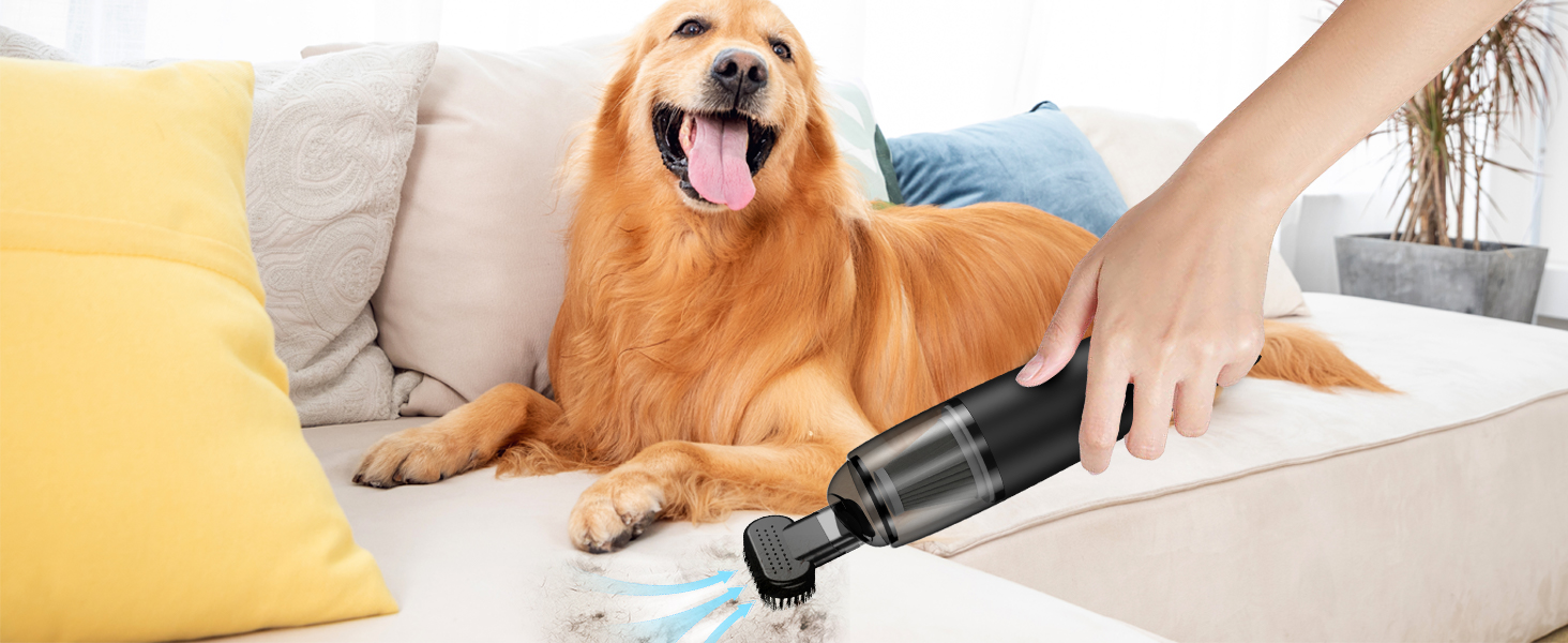 handheld vacuum cordless