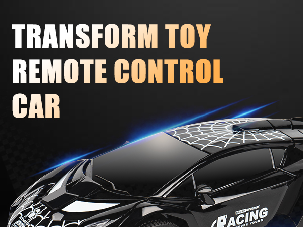 Remote Control Robot Car