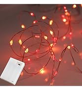 QBIS Battery Powered Fairy Lights for Bedroom, 40 LED Lights, Battery Operated String Lights for ...
