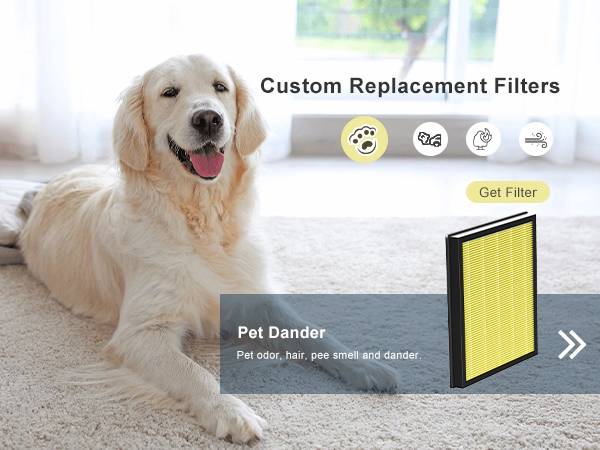 air filter pet