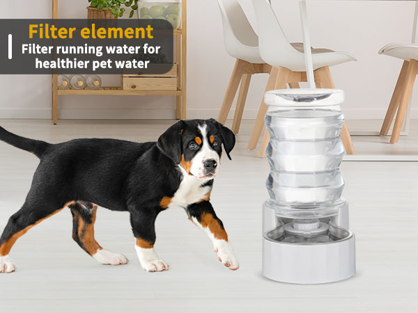pet water feeder