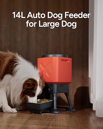 automatic dog feeder