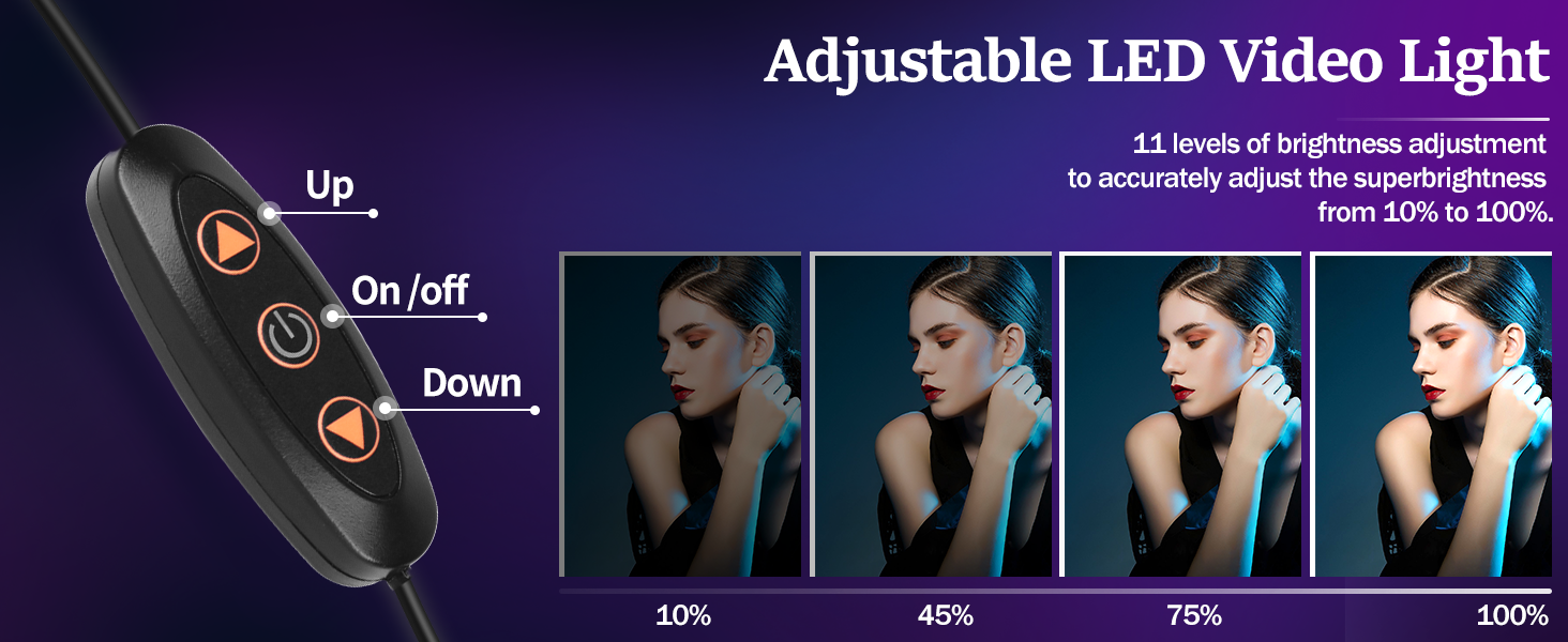 Adjustable LED Video Light