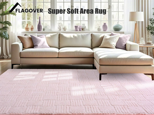 carpet living room