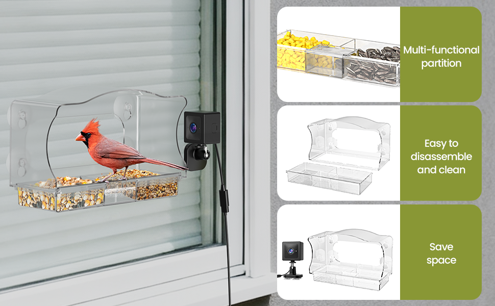 bird feeder for window