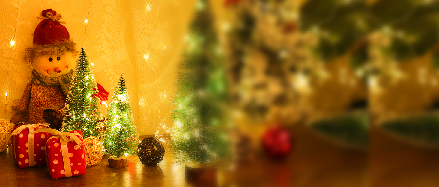 warm white christmas led fairy string lights