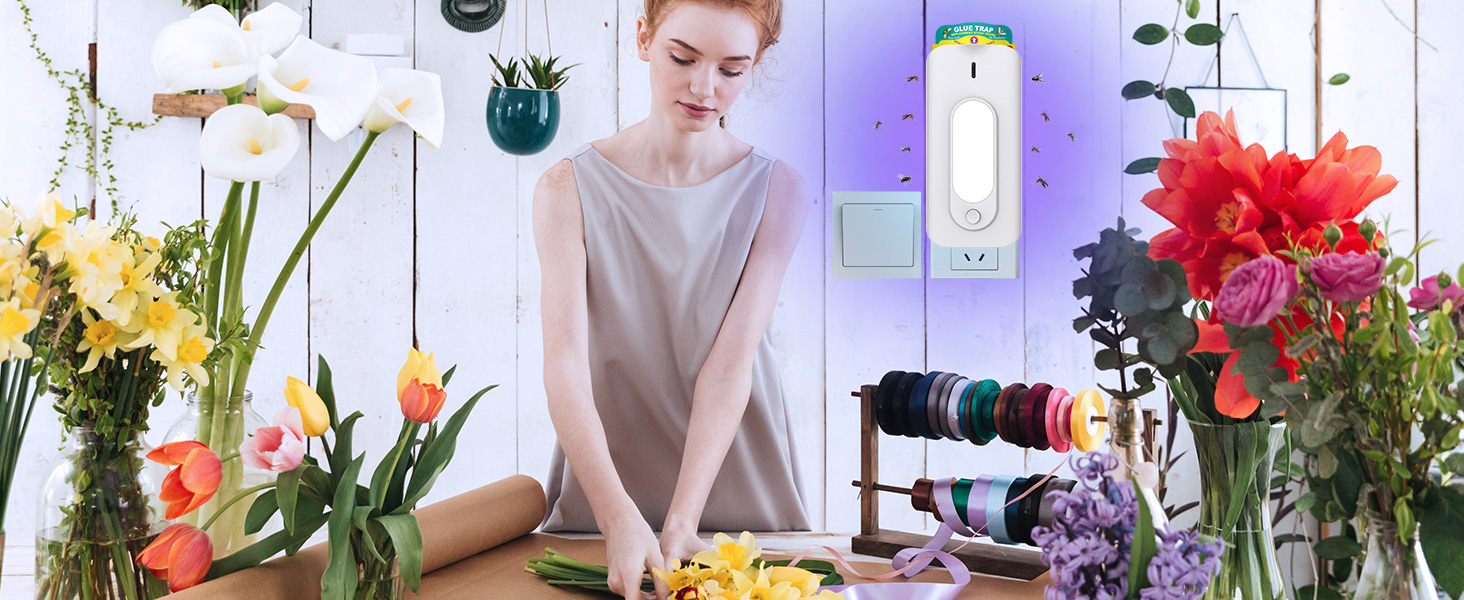 fly traps indoor for home