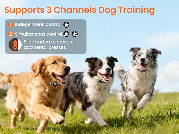 dog shock collar with remote bark remote electric collar for dogs the best e collar for dogs
