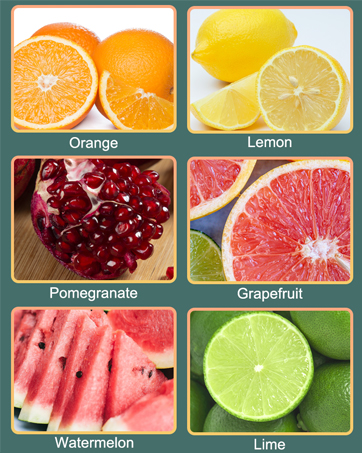 hand juicer citrus squeezer