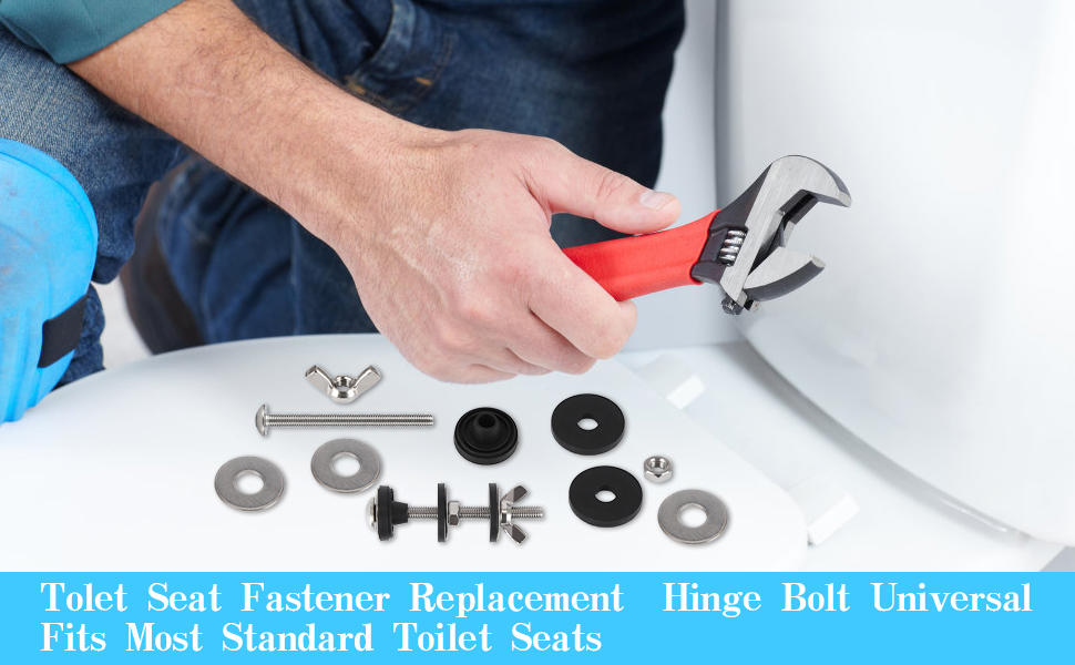 toilet screws for seat