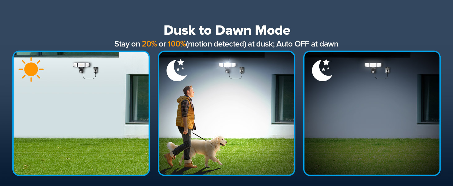 Dusk to Dawn
