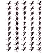 TOYANDONA 50 Pieces Plastic Cricket Prank Props Fake Plastic Roach Cockroach Realistic Bugs Trick...