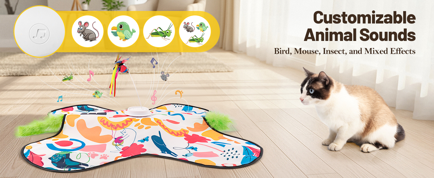 cat toys interactive