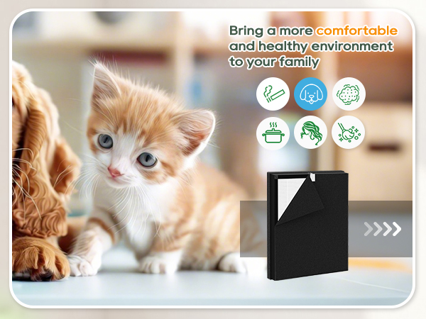 Bring a more comfortable and healthy environment to your family