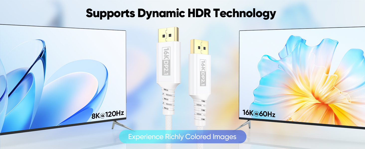 display port
