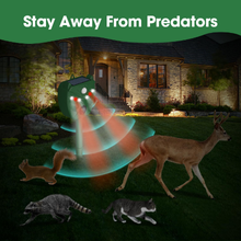 STAY AWAY FROM PREDATORS