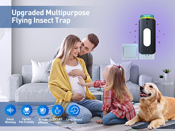 fruit fly traps for indoors