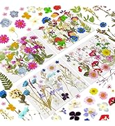 130 Pcs Dried Pressed Flowers for Resin, Real Pressed Flowers Dry Leaves Bulk Natural Herbs Kit f...