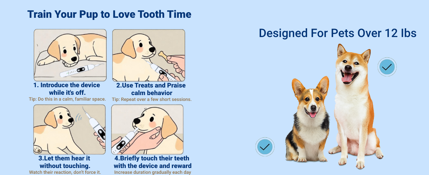pet teeth care