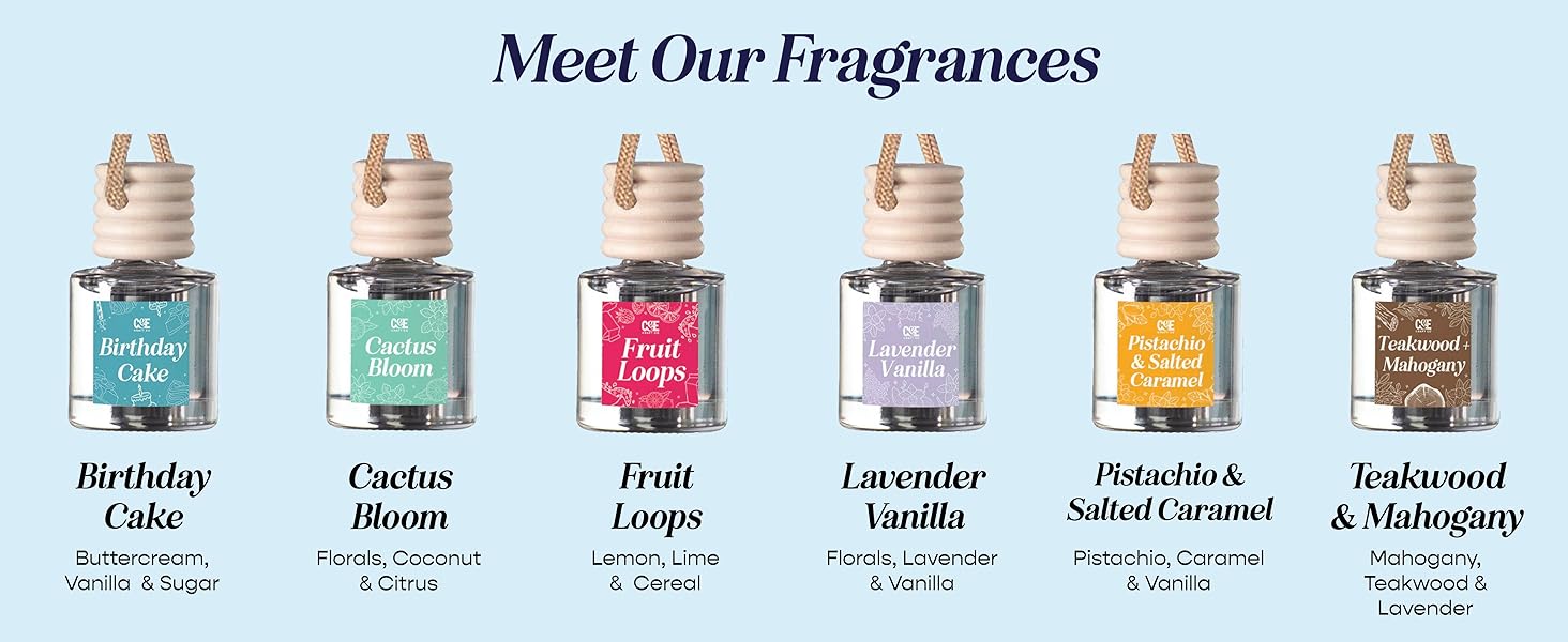 Cande craft car fresheners long lasting freshener car diffuser