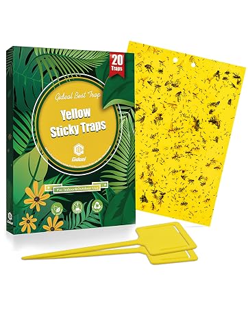 https://m.media-amazon.com/images/S/aplus-media-library-service-media/8588c4b7-36c9-4152-9fcc-edc674b7fd07.__CR0,0,1399,1751_PT0_SX362_V1___.jpg