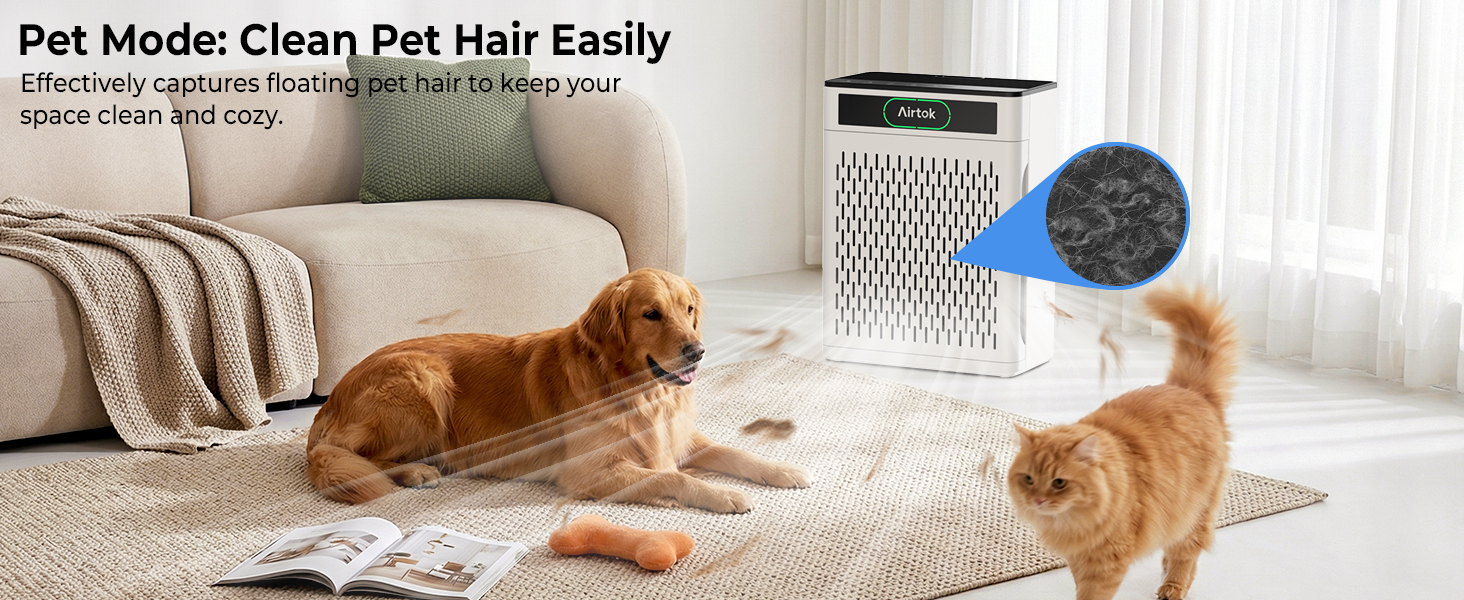 Air Purifiers