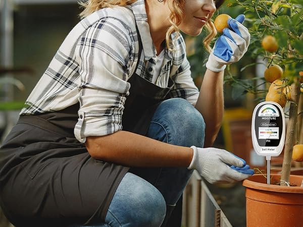 Soil pH Tester